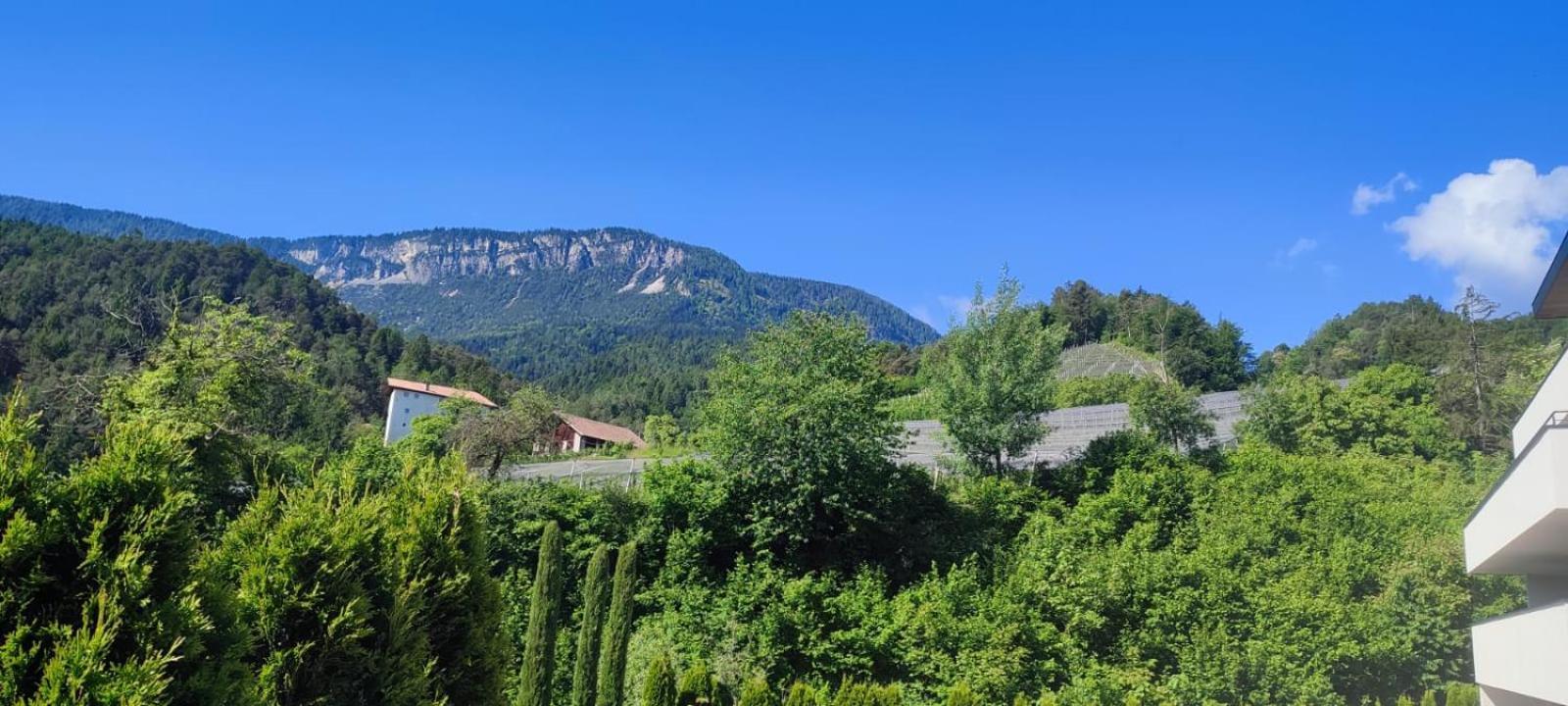 Janas Bolzano Mountain Apartment Tesimo Bagian luar foto